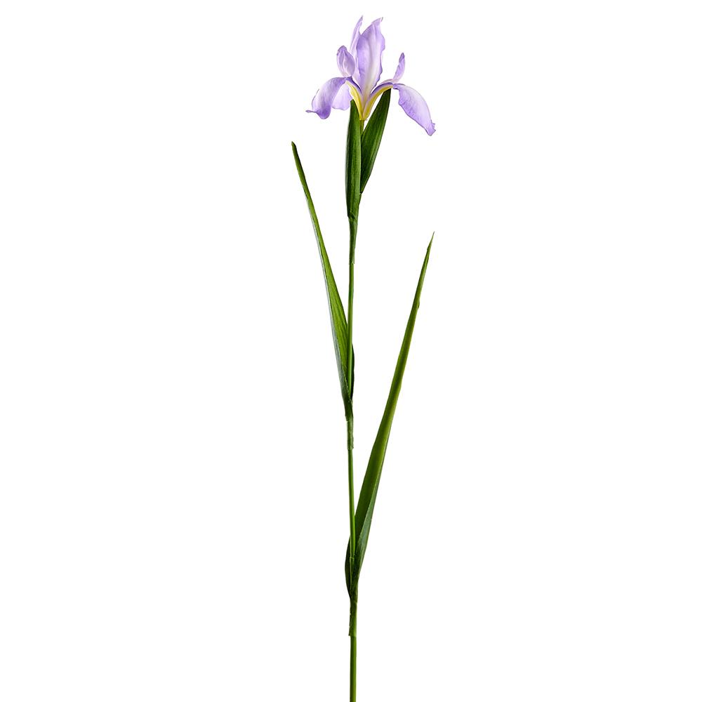 Lavender Iris Spray