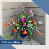 Athens Pothos Bush