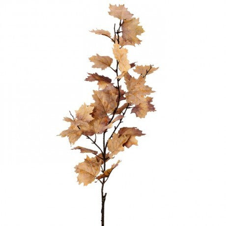 Northern Vermont Maple Spray