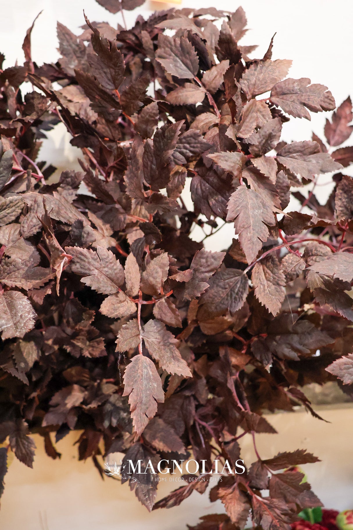 Cimicifuga Ramosa Leaf Spray