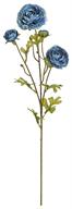 Blue Beauty Everyday Ranunculus Stem