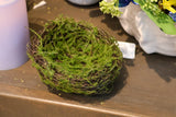 Moss Bird's Nest Accent