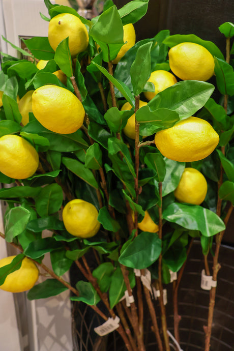 Fruiting Lemon Spray
