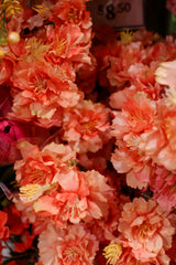 Coral Japanese Cherry Blossom Spray