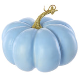 Short Blue Pumpkin