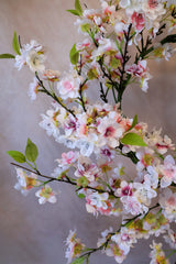 24" Blush Cherry Blossom Wreath