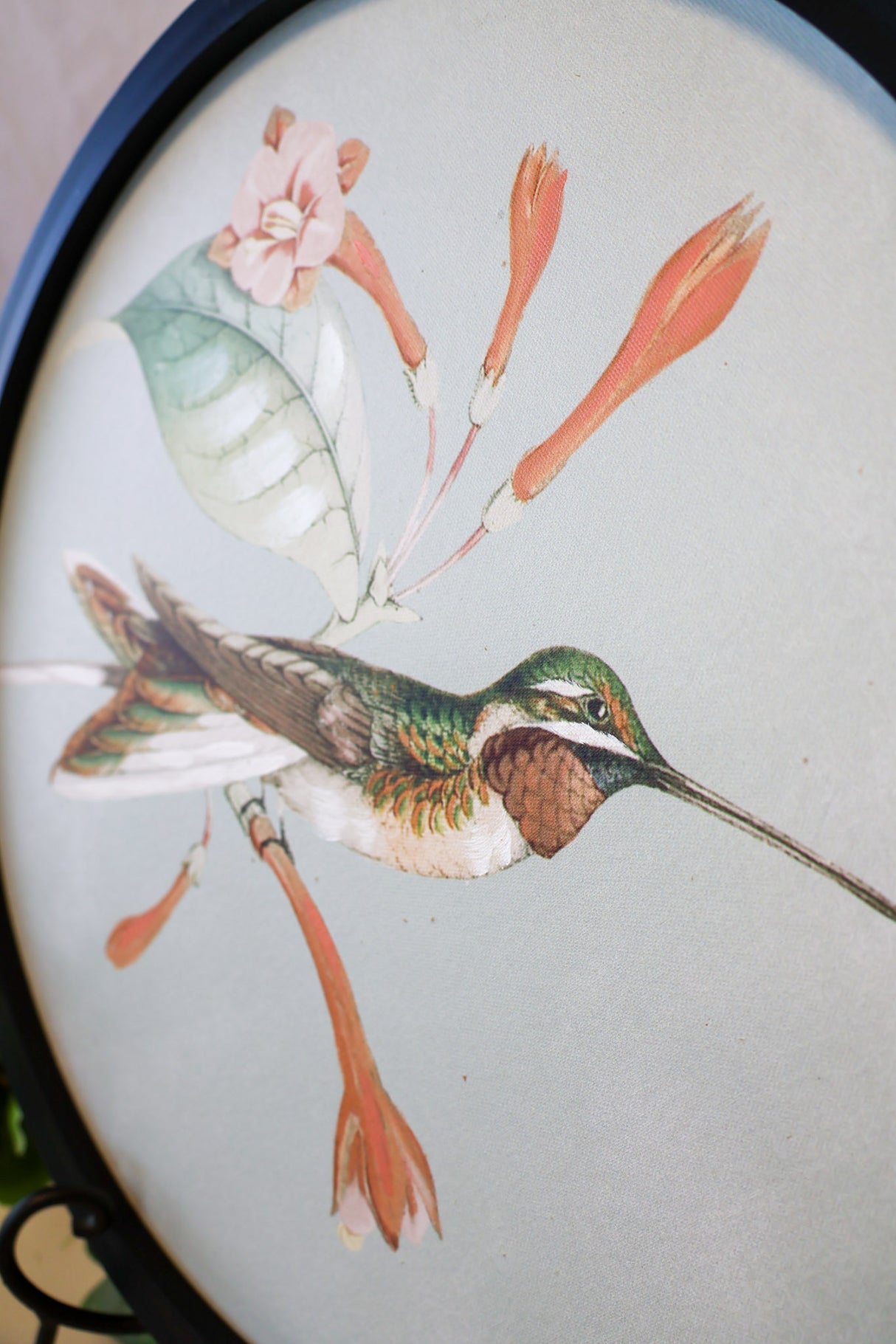 Round Hummingbird Print - 2 Styles