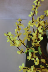 14" Wild Forsythia Candle Ring