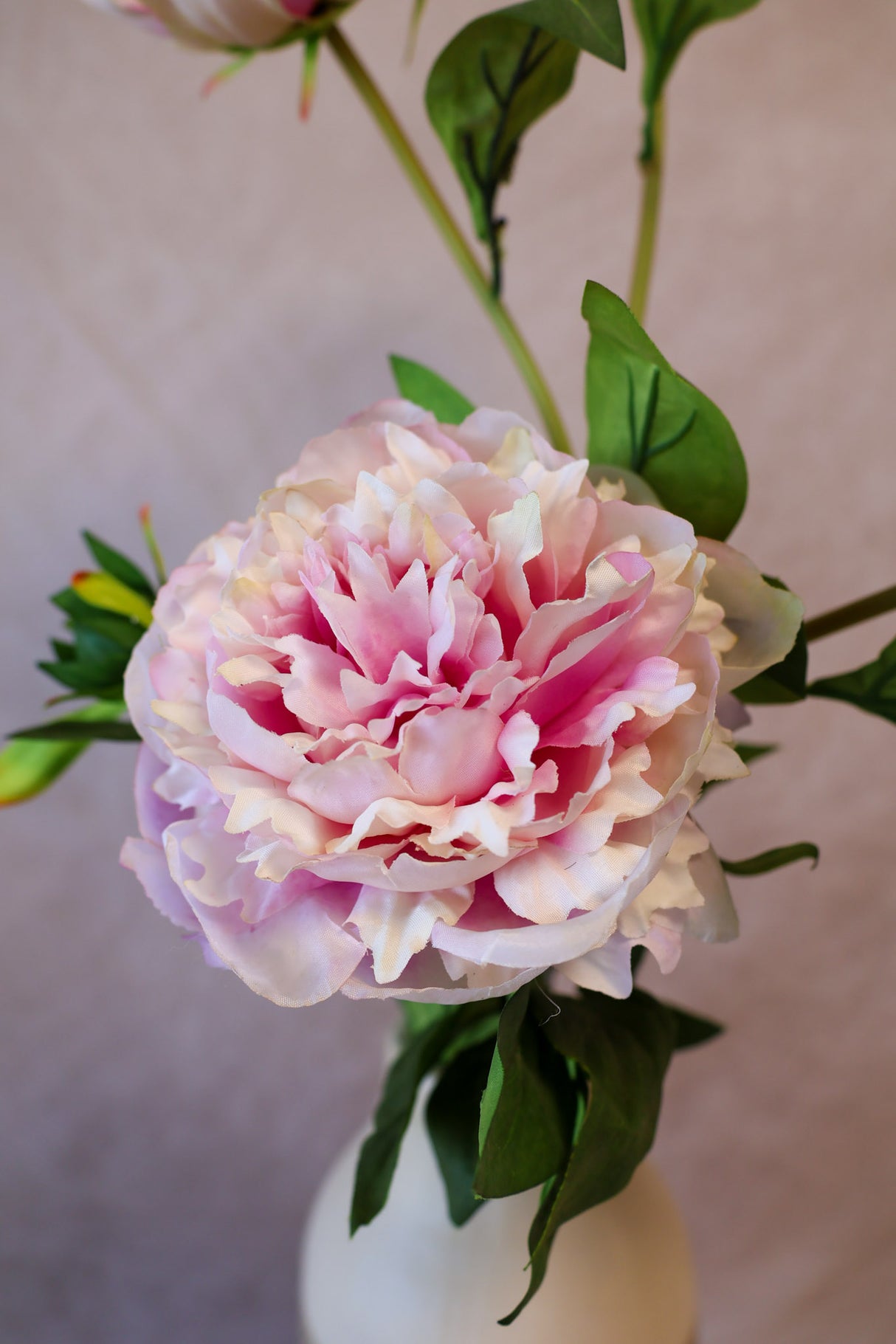 Charlotte Ruffle Peony