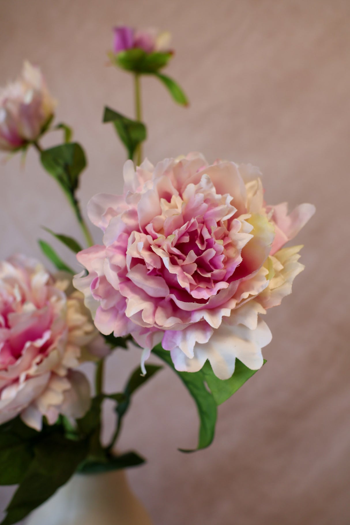 Charlotte Ruffle Peony