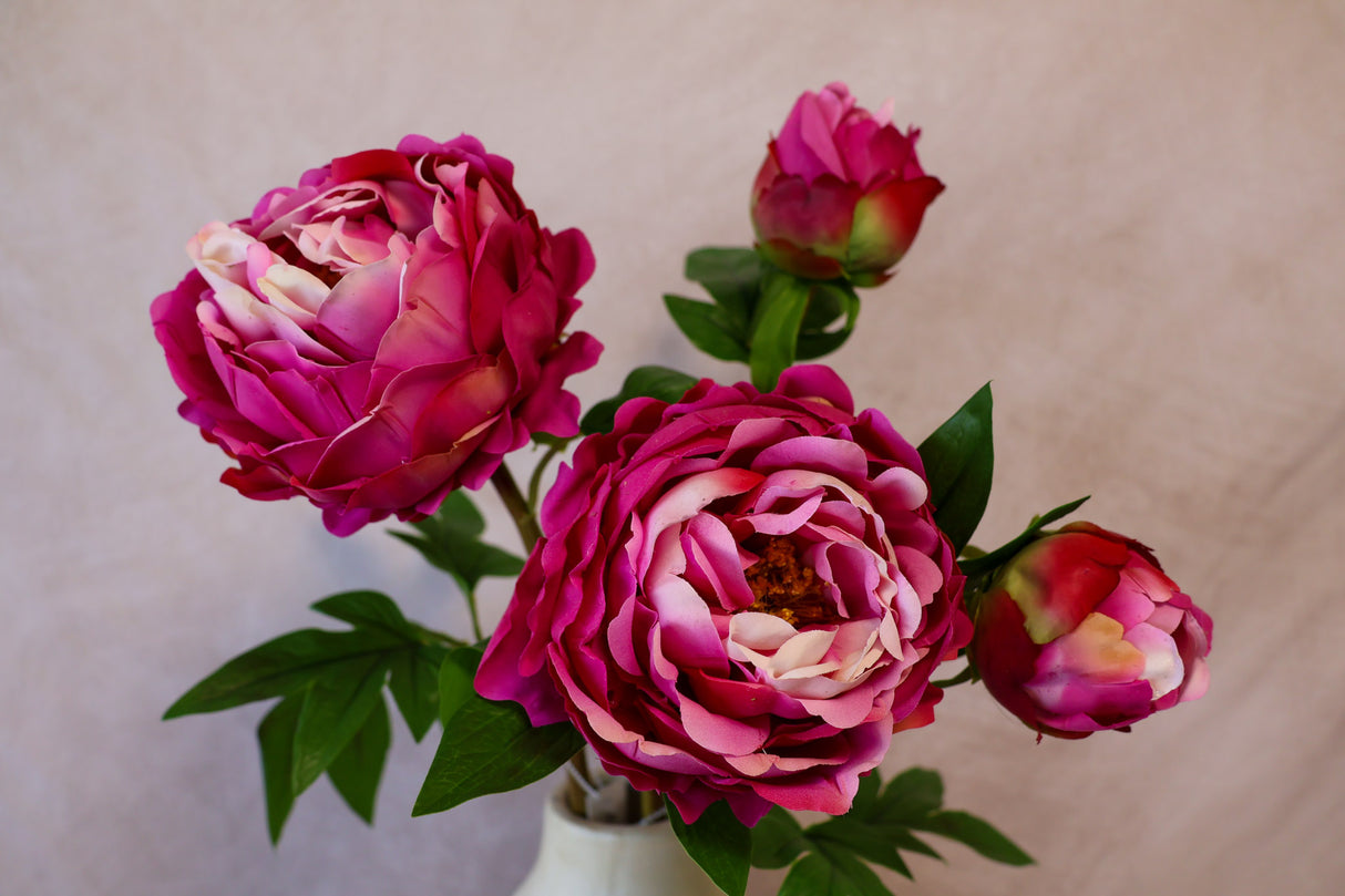 Durango Real Touch Peony