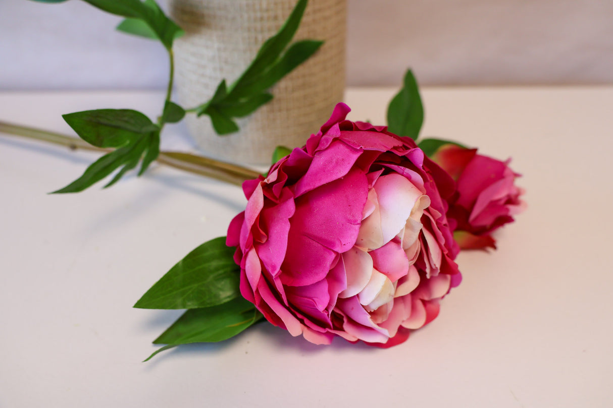 Durango Real Touch Peony