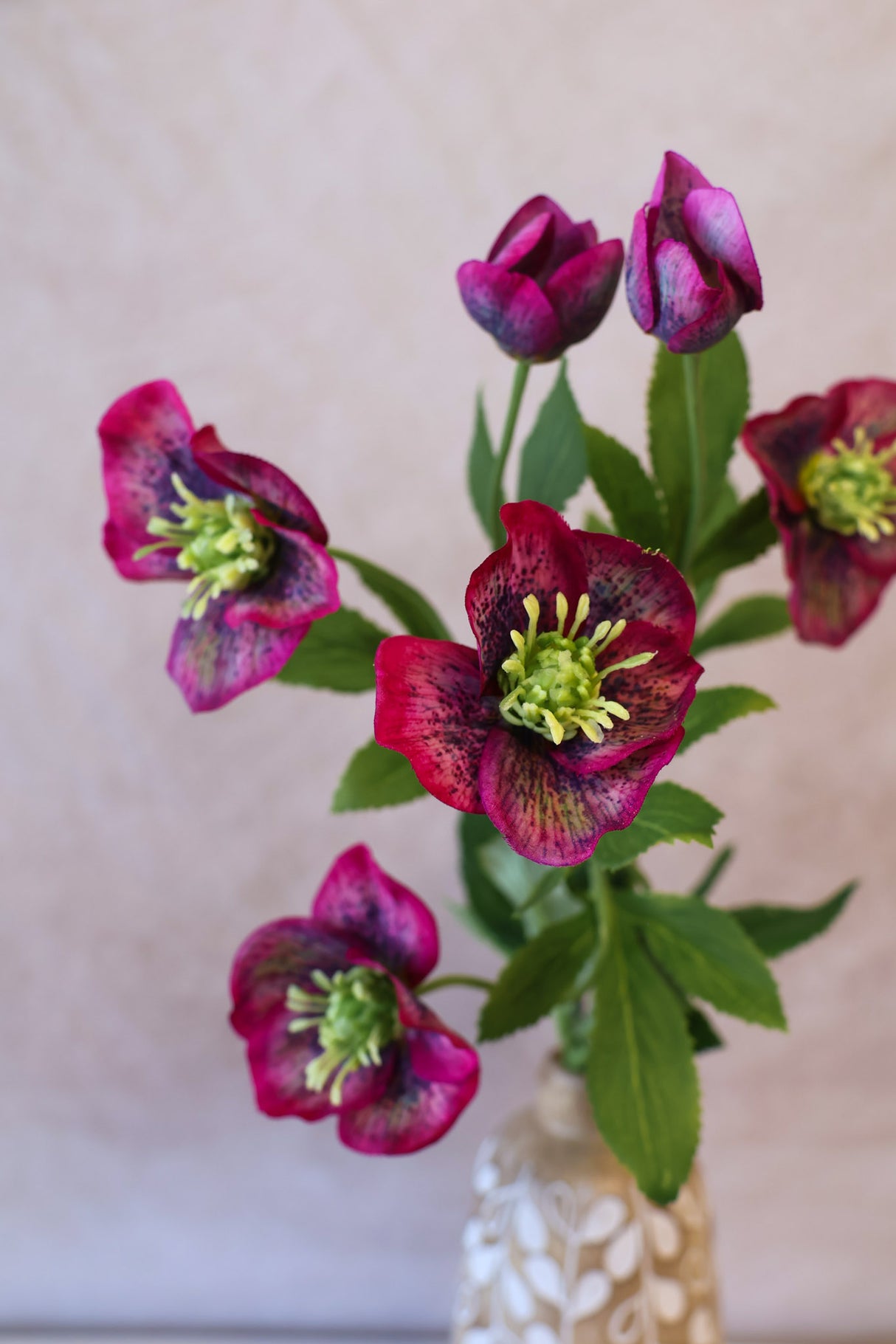 Sophia Hellebore Spray