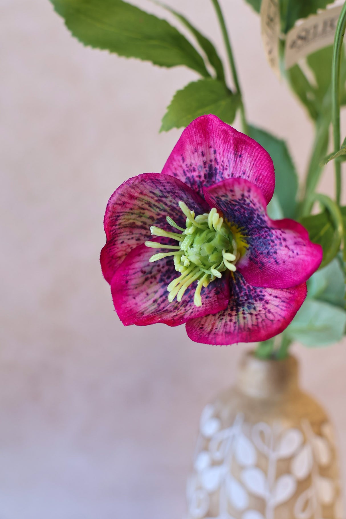 Sophia Hellebore Spray