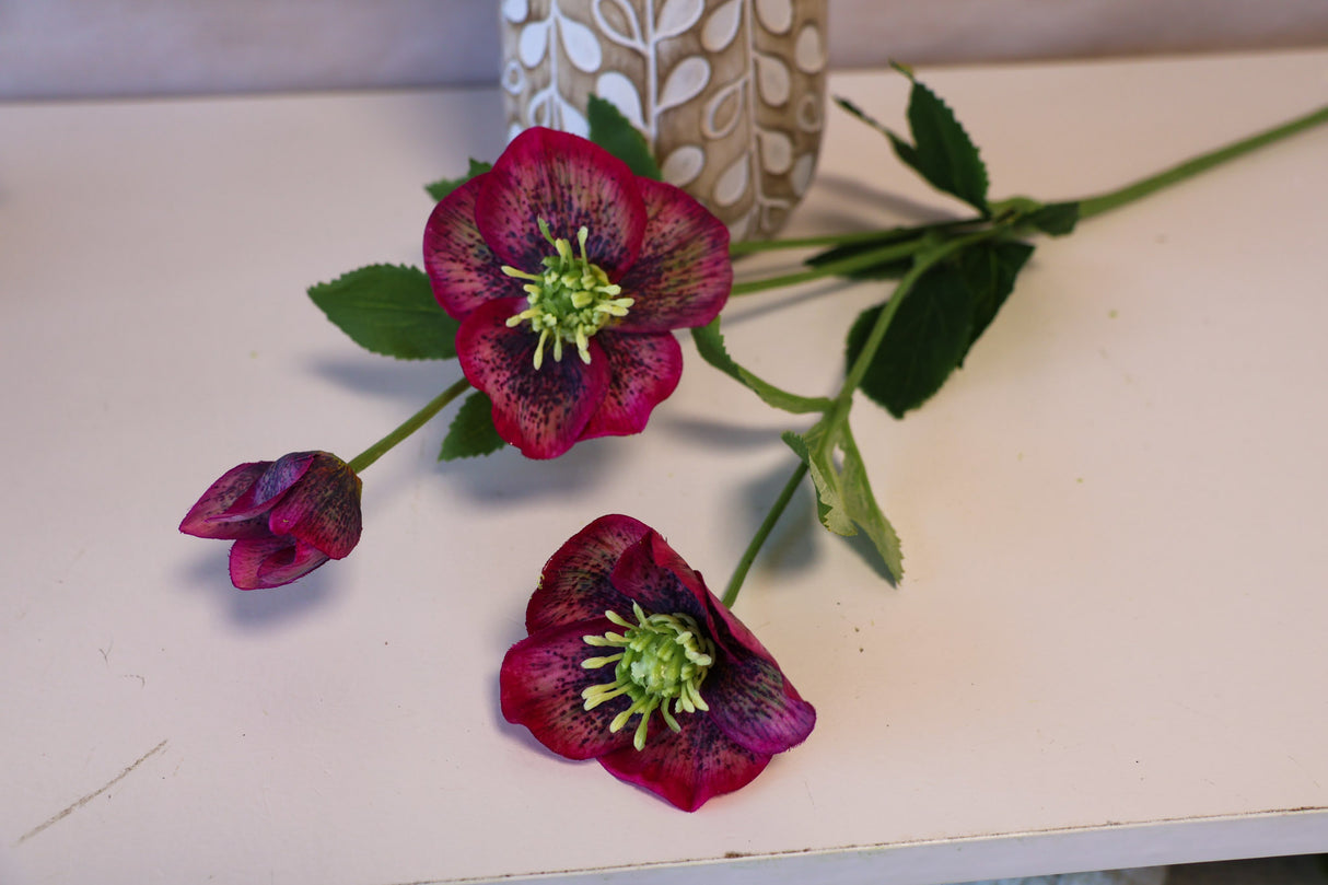 Sophia Hellebore Spray