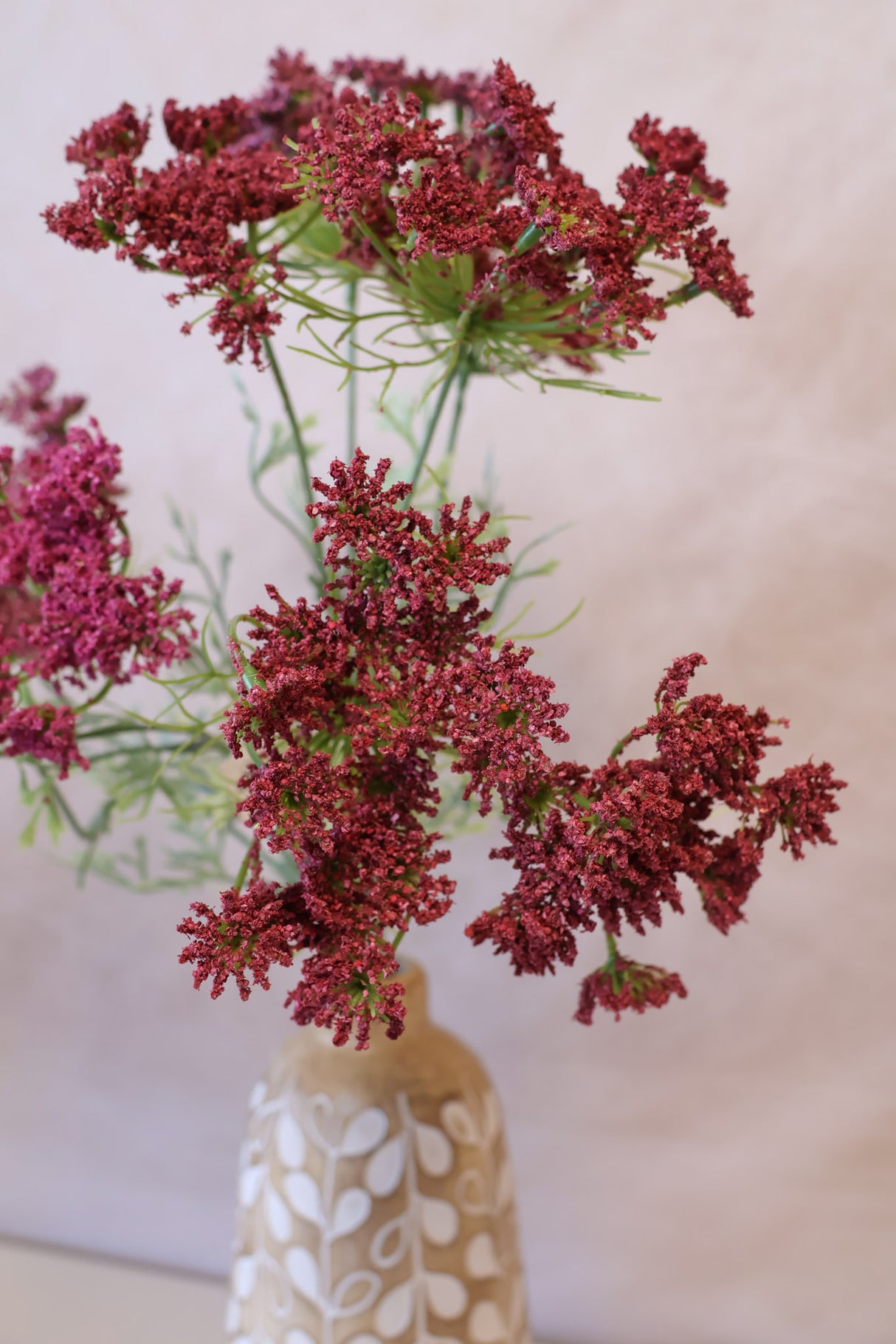 Eliana Queen Anne's Lace Bundle