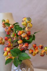 Pink Rosehip Berry Cluster