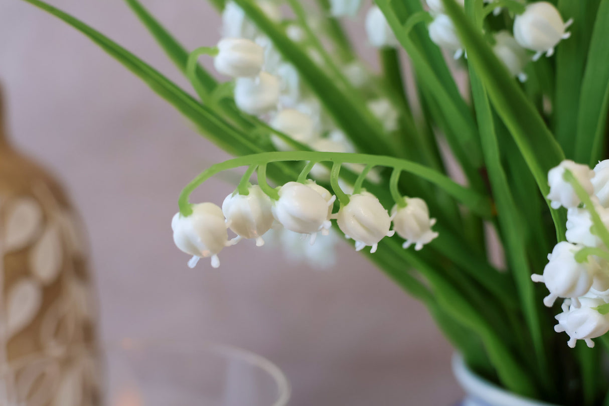 Lily Of The Valley Bush