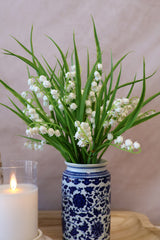 Lily Of The Valley Bush