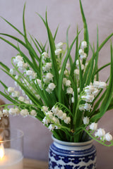 Lily Of The Valley Bush