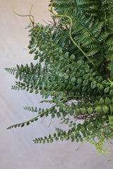 26" Julie Mixed Fern Wreath