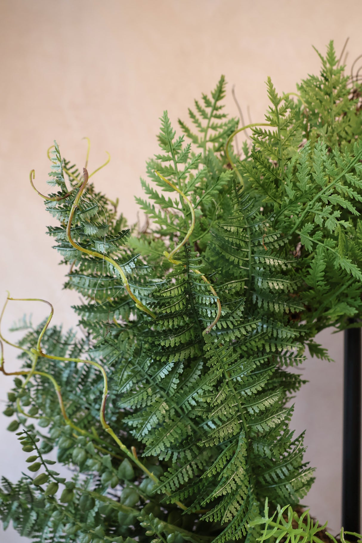 26" Julie Mixed Fern Wreath