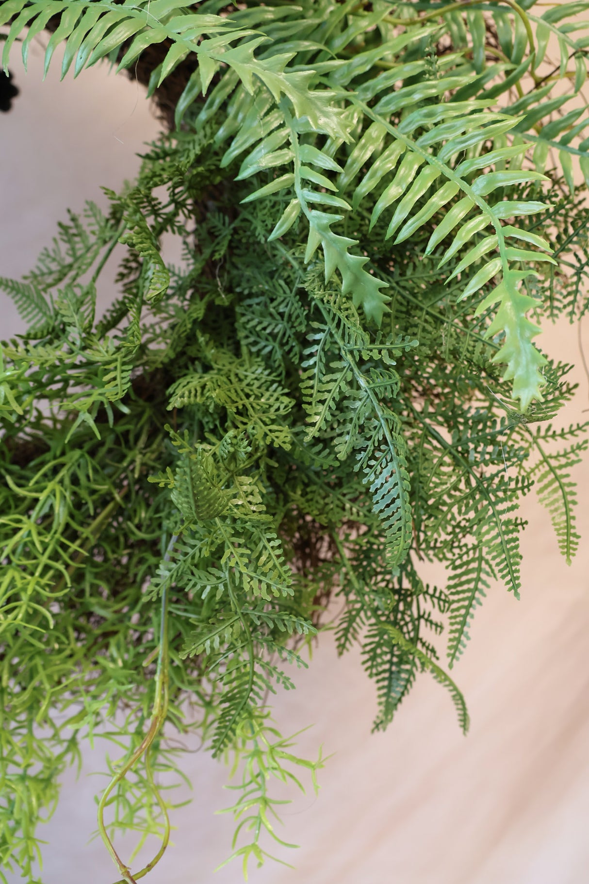 26" Julie Mixed Fern Wreath