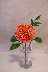 Orange Cream Dahlia In Glass Vase