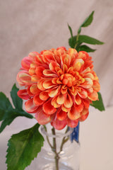 Orange Cream Dahlia In Glass Vase