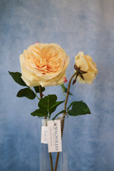 Real Touch English Rose Stem