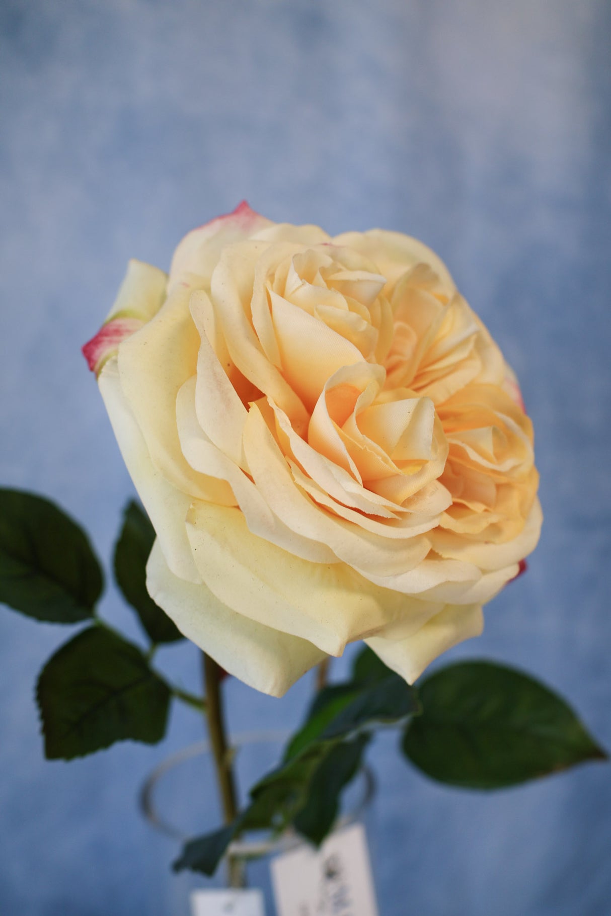 Real Touch English Rose Stem