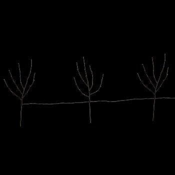 Warm White Lighted Branch Set of 3