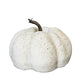 Speckled Beige Pumpkin