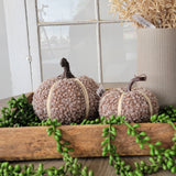 Fabric Loop Pumpkin -2 Sizes