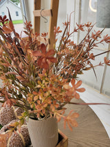 Autumn Grasses Bundle