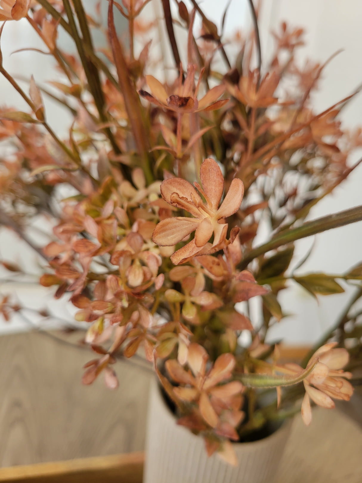 Autumn Grasses Bundle