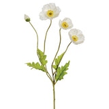 White Poppy Spray