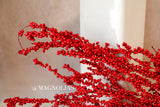 Red Mini Berry Bundle