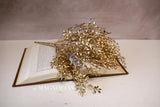 Gold Mini Boxwood Bush