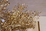 Gold Mini Boxwood Bush