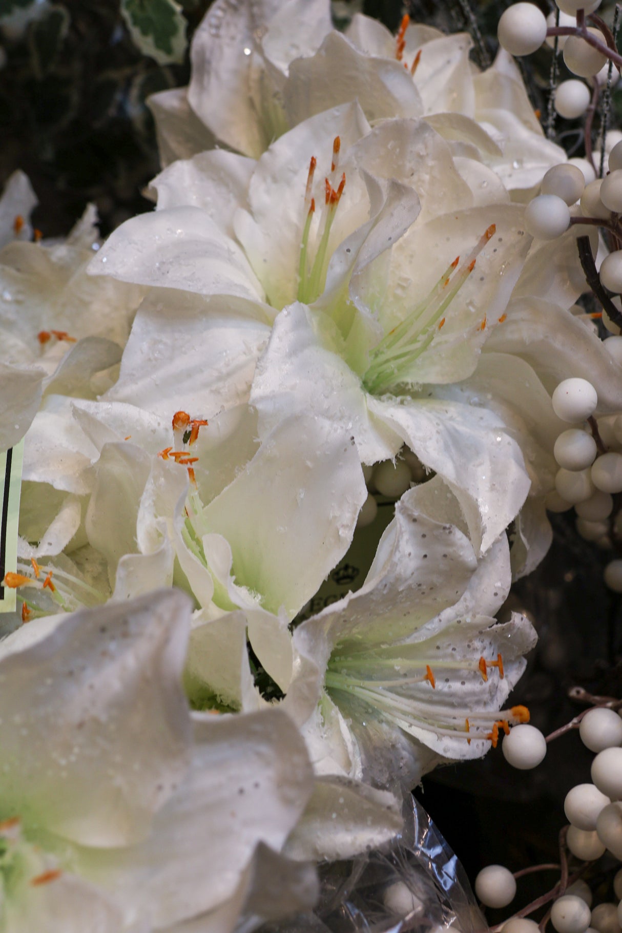 White Frosted Mini Amarylis Stem