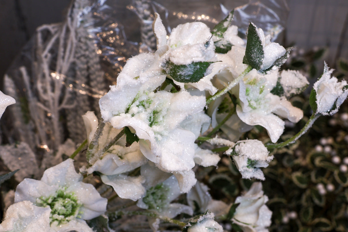 Frosted Christmas Rose Spray