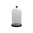 Decorative Glass Fluted Cloche with Green Knob & MDF Base, Set of 2