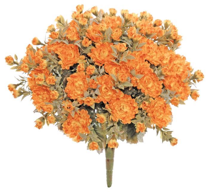 Rust Orange Mini Mum Bush