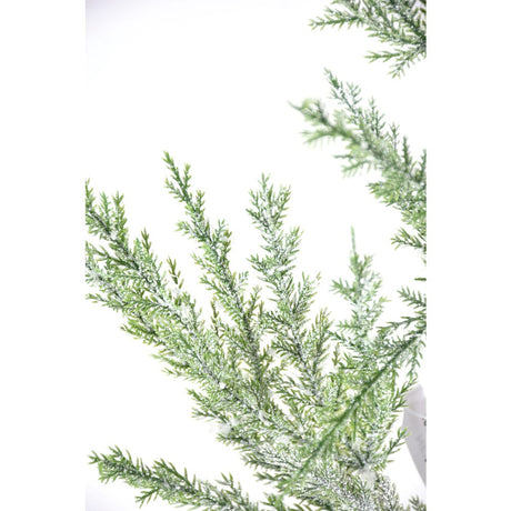 Juniper Frosted Pine Branch