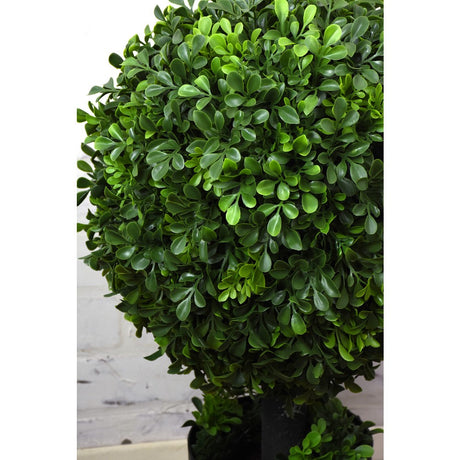 Boxwood Ball Topiary