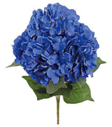 Blue Hydrangea Bush