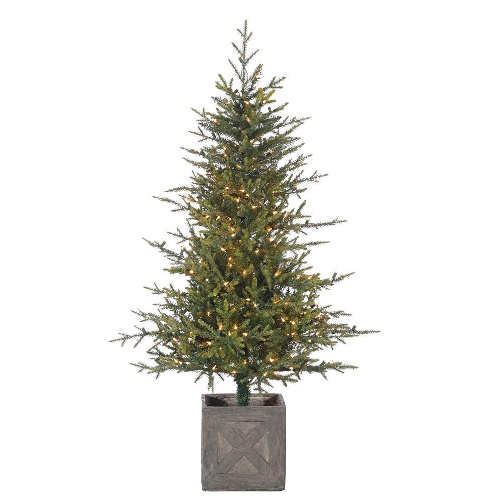 5' Fieldstone Spruce Potted Tree