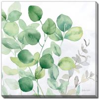 Eucalyptus Leaves II Canvas- Pickup Only
