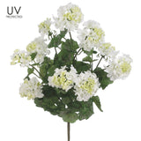 Large UV Protected White Geranium Bush